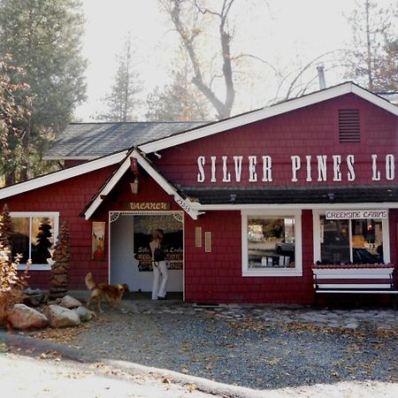 Silver Pines Lodge Idyllwild Exteriör bild