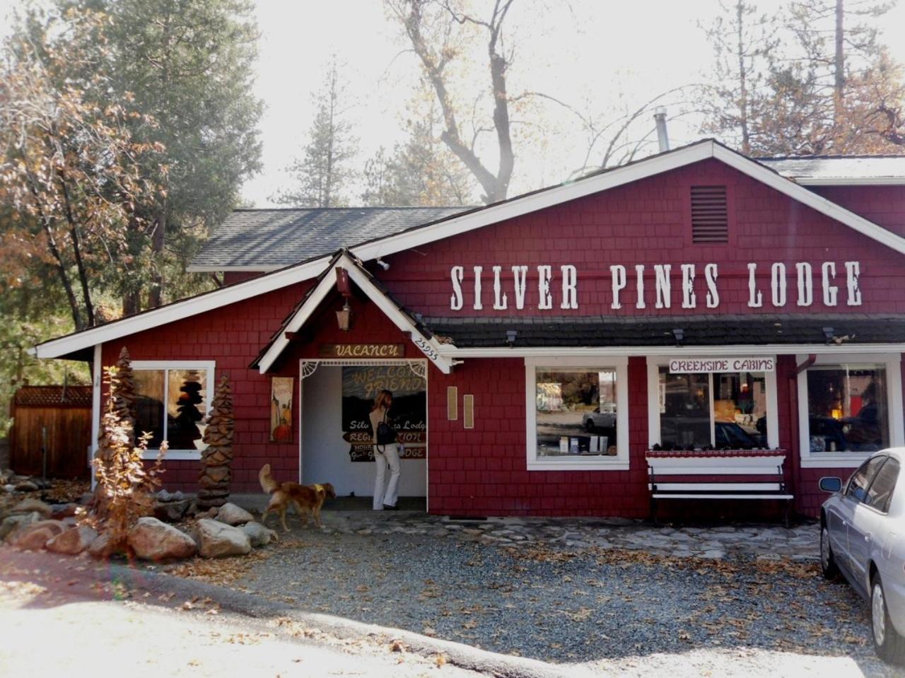Silver Pines Lodge Idyllwild Exteriör bild
