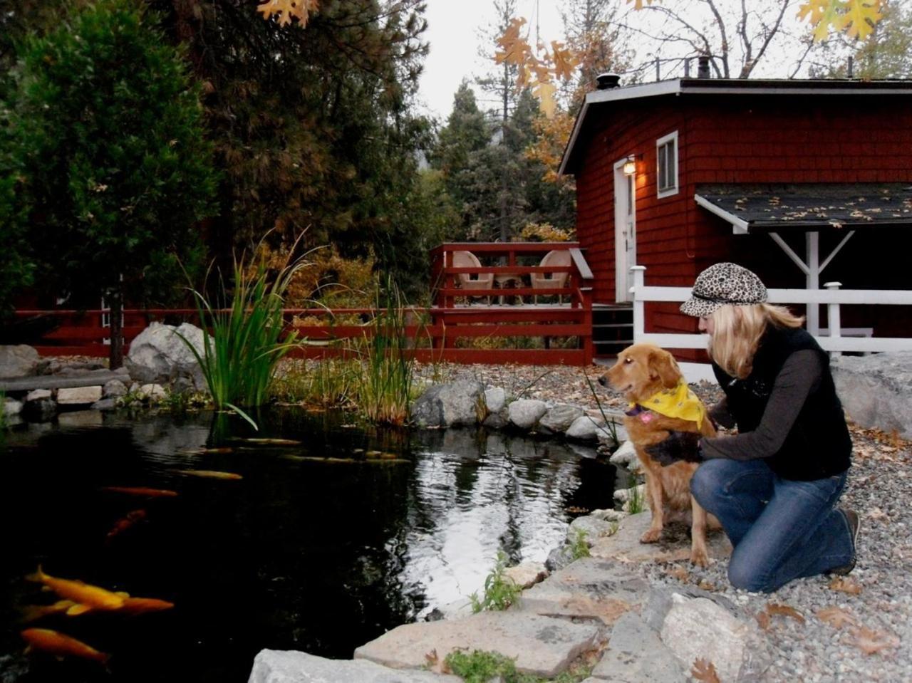 Silver Pines Lodge Idyllwild Exteriör bild